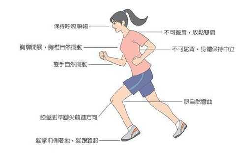 跑步运动小常识（跑步常识和正确方法）